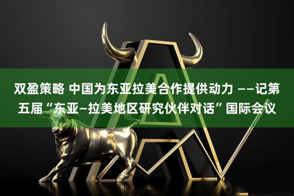 双盈策略 中国为东亚拉美合作提供动力 ——记第五届“东亚—拉美地区研究伙伴对话”国际会议
