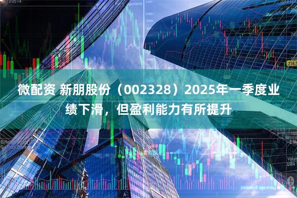 微配资 新朋股份（002328）2025年一季度业绩下滑，但盈利能力有所提升