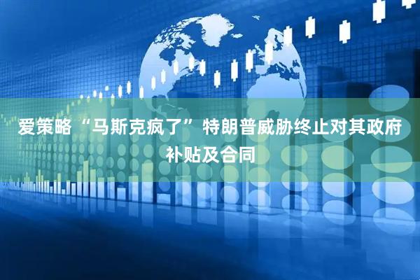 爱策略 “马斯克疯了” 特朗普威胁终止对其政府补贴及合同