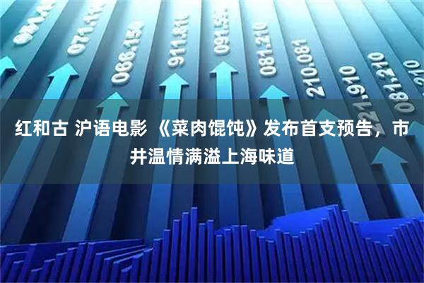 红和古 沪语电影 《菜肉馄饨》发布首支预告，市井温情满溢上海味道