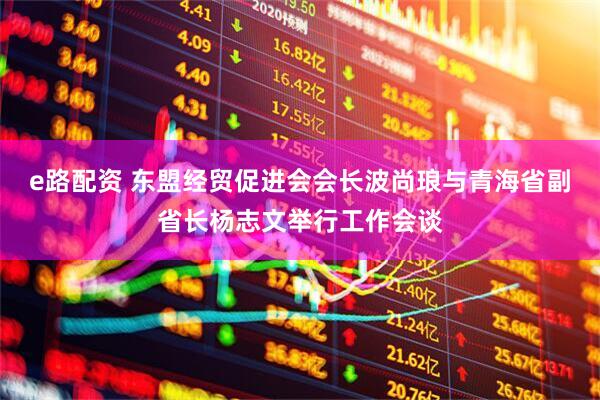 e路配资 东盟经贸促进会会长波尚琅与青海省副省长杨志文举行工作会谈